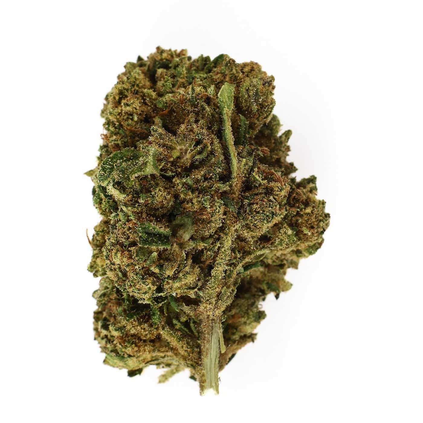 Fleur CBD OG Kush Indoor (8,5%) tête compacte aux notes de pin et chanvre naturel riche en trichomes