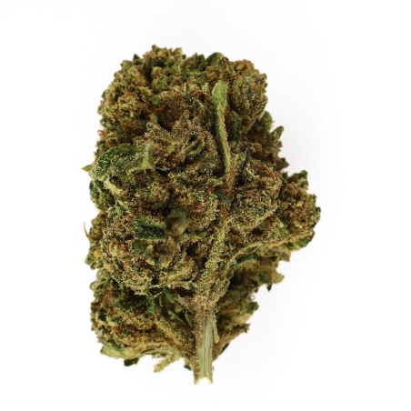 Fleur CBD OG Kush Indoor (8,5%) tête compacte aux notes de pin et chanvre naturel riche en trichomes