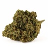 Fleur CBD Mango Haze Greenhouse (16,9%) vue latérale fleur dense aux notes exotiques et sucrées