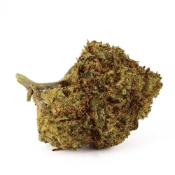 CBD Flower Skunk XL Indoor (20.4%) side view dense bud with rich and complex terpene profile