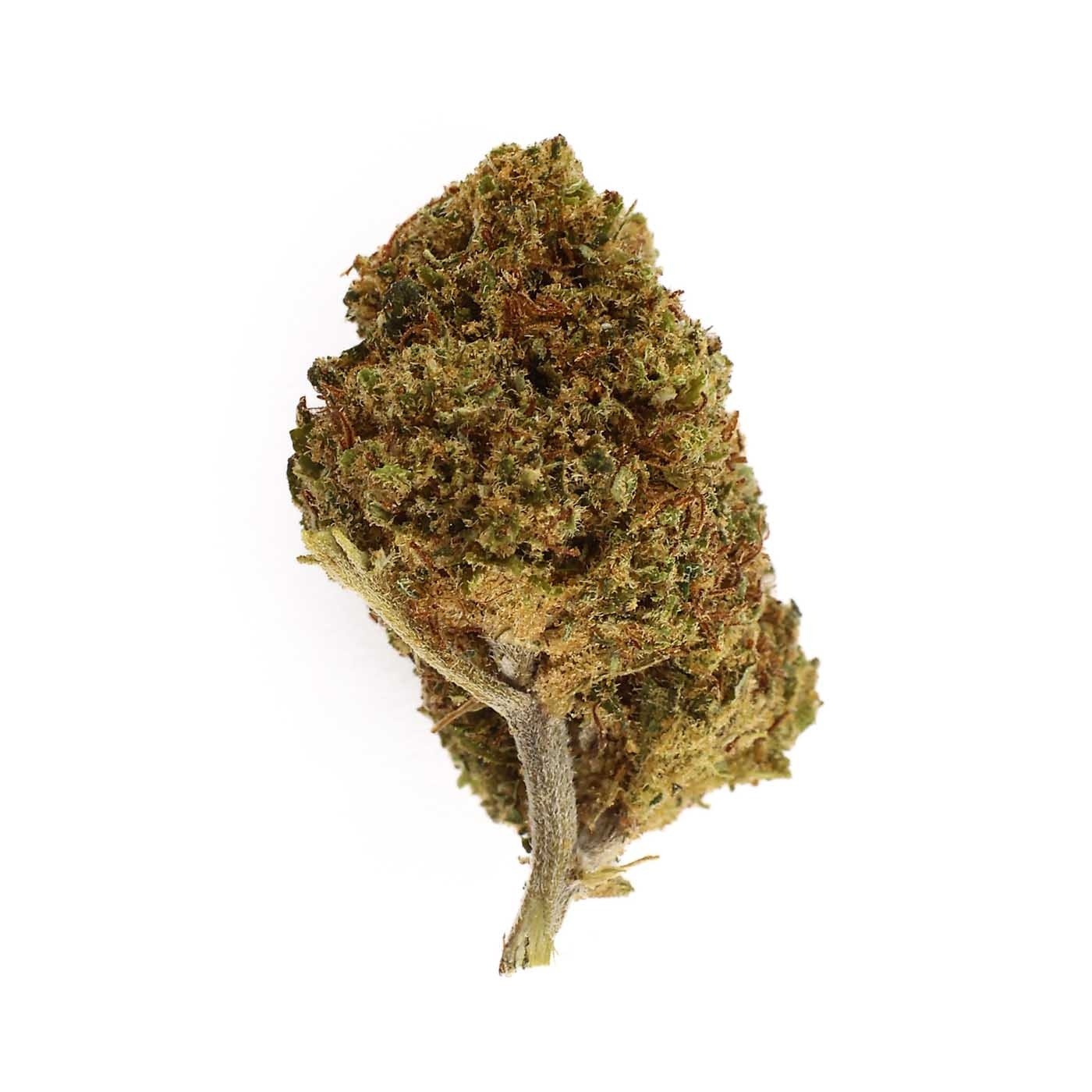 CBD Flower Skunk XL Indoor (20.4%) compact bud with intense and balanced aromas rich in trichomes