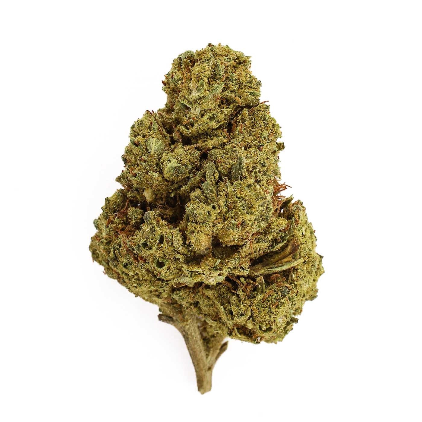 CBD-Blüte Super Lemon Haze Indoor (20%) kompakte Blüte mit zitronigen und spritzigen Aromen reich an Trichomen