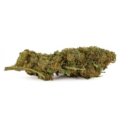 CBD Flower AK47 Greenhouse (6%) side view dense bud with balanced notes ideal for beginners