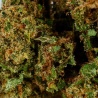 CBD-Blüte AK47 Greenhouse (6%) Nahaufnahme harzig mit feinen Trichomen für sanfte Erfahrung