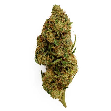 CBD-Blüte AK47 Greenhouse (6%) kompakte Blüte mit milden und leichten Aromen reich an Trichomen