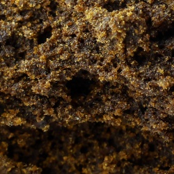 CBD Hash Super Afghan (40%) close-up oily texture rich in resin