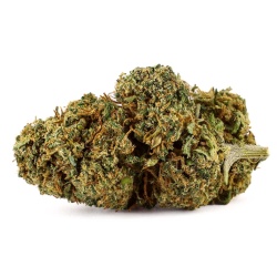 Fleur CBD Lemon Haze (18%) vue latérale fleur dense aux notes acidulées et vivifiantes