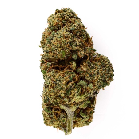 CBD Flower Lemon Haze (18%) compact bud with fresh lemon aromas rich in trichomes