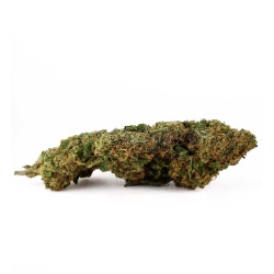 Fleur CBD Granddaddy Purple Greenhouse (17,9%) vue latérale fleur dense aux notes profondes et relaxantes