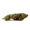CBD Flower Granddaddy Purple Greenhouse (17.9%) side view dense bud with deep relaxing notes