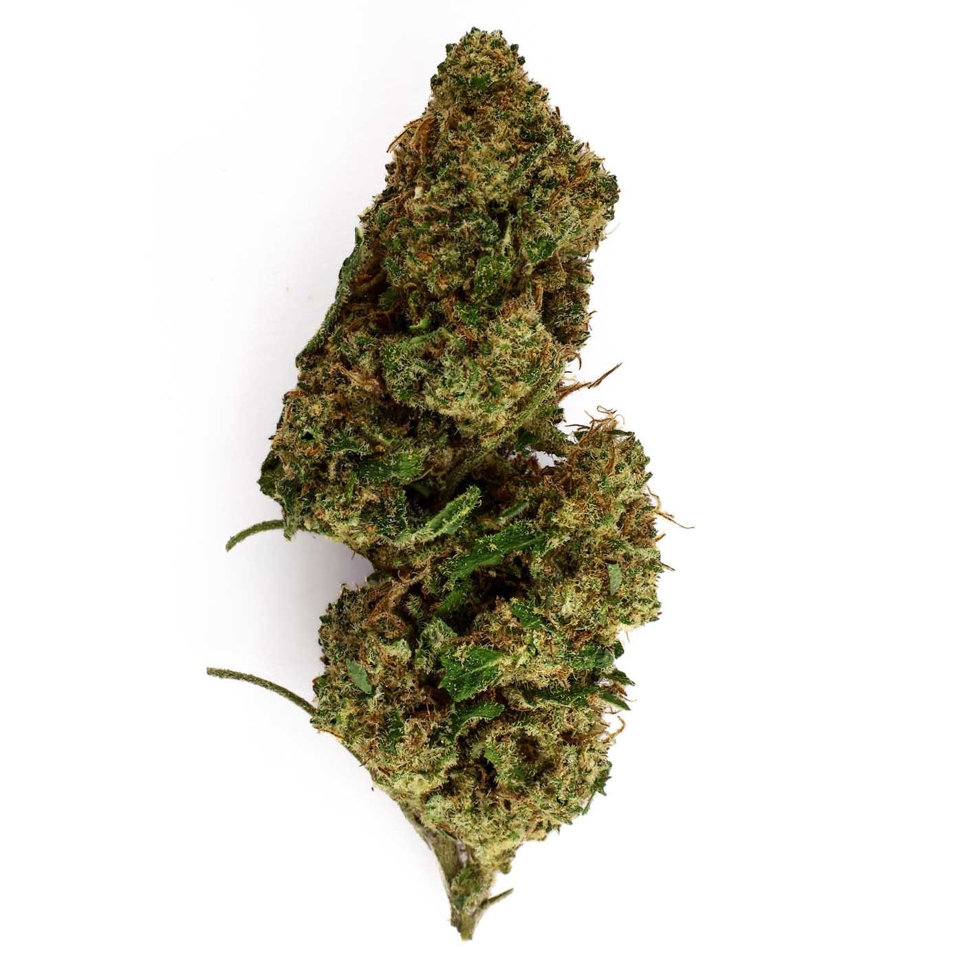 CBD-Blüte Granddaddy Purple Greenhouse (17,9%) kompakte Blüte mit Pinien-, Kräuter- und Pfeffernoten reich an Trichomen