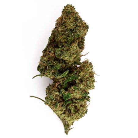 Fleur CBD Granddaddy Purple Greenhouse (17,9%) tête compacte aux arômes de pin, herbe et poivre riche en trichomes