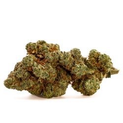 CBD Flower Big Bud Royal (22%) side view dense bud with strong balanced notes