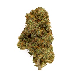 CBD Flower ACDC Greenhouse (13.2%) compact bud with woody natural aromas rich in trichomes