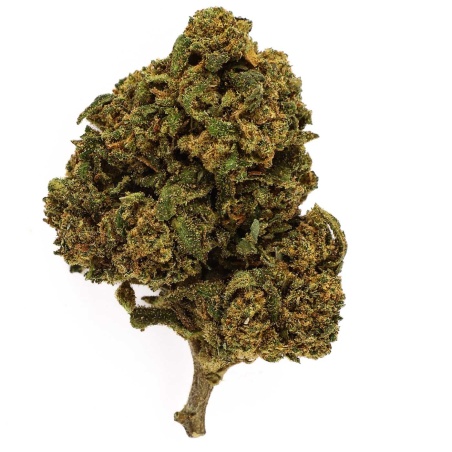 Fleur CBD Nina Limone Outdoor (9,3 %)
