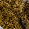 Résine CBD Spécial (52%) gros plan texture grasse et riche en résine