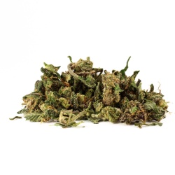 Trim de Fleurs CBD Gorilla Indoor vue latérale mélange dense riche en détails