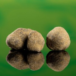 MoonRock CBD 70 % | Cannelle & Pin | Le Caviar CBD | 321CBD