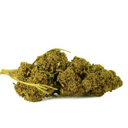 CBD Flower Bubba Kush Indoor (25%) side view dense bud with deep and intense aromas