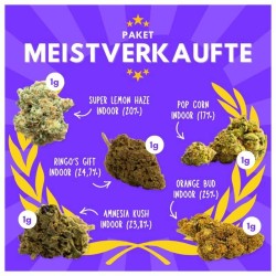 Pack CBD Fleurs Meilleures Ventes 5 Variétés x 1g | 321CBD
