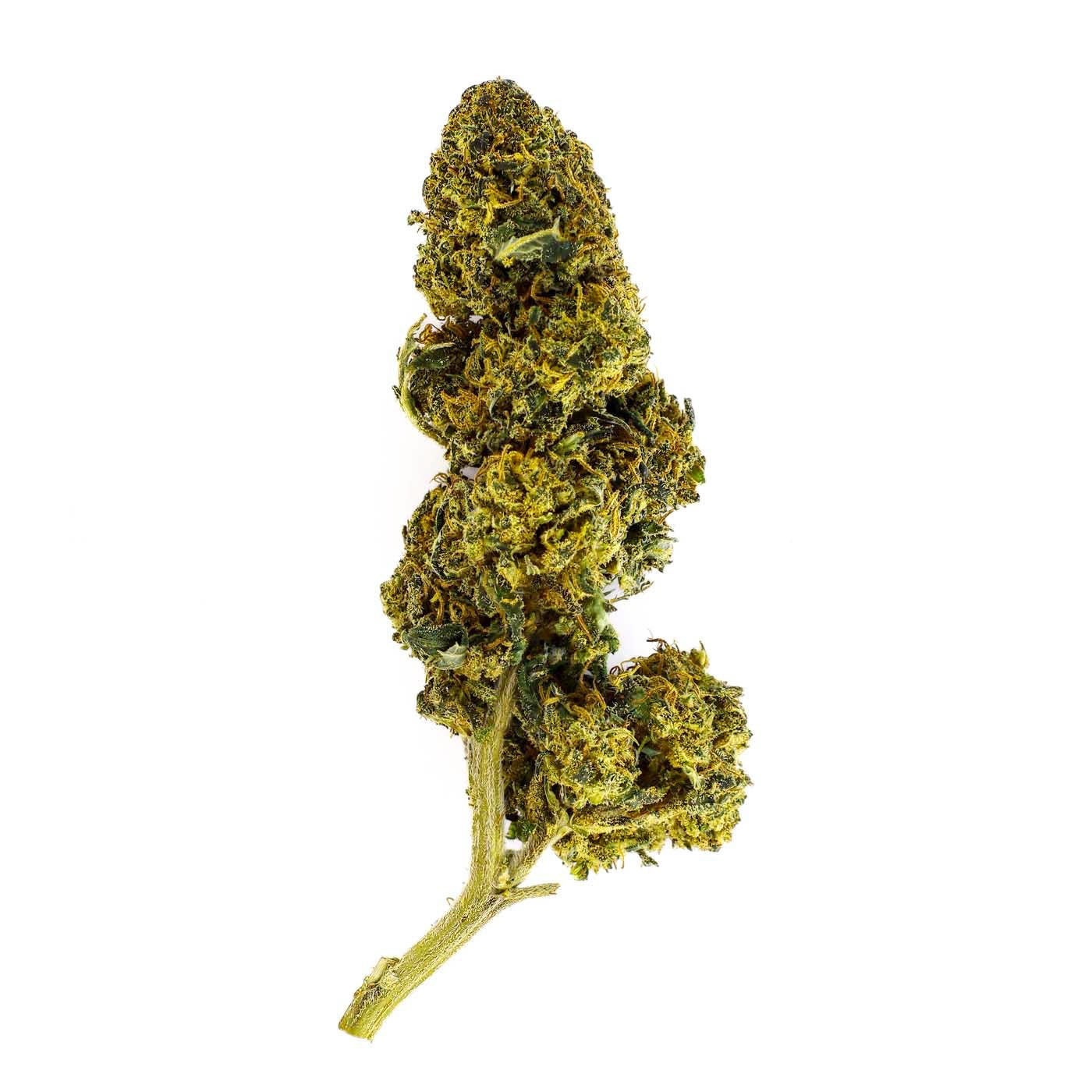Fleur CBD El Patron Indoor 22 % | Puissante & Épicée | 321CBD