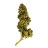 Fleur CBD El Patron Indoor 22 % | Puissante & Épicée | 321CBD