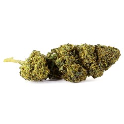 Fleur CBD El Patron Indoor 22 % | Puissante & Épicée | 321CBD