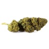 Fleur CBD El Patron Indoor 22 % | Puissante & Épicée | 321CBD