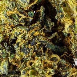 Fleur CBD El Patron Indoor 22 % | Puissante & Épicée | 321CBD