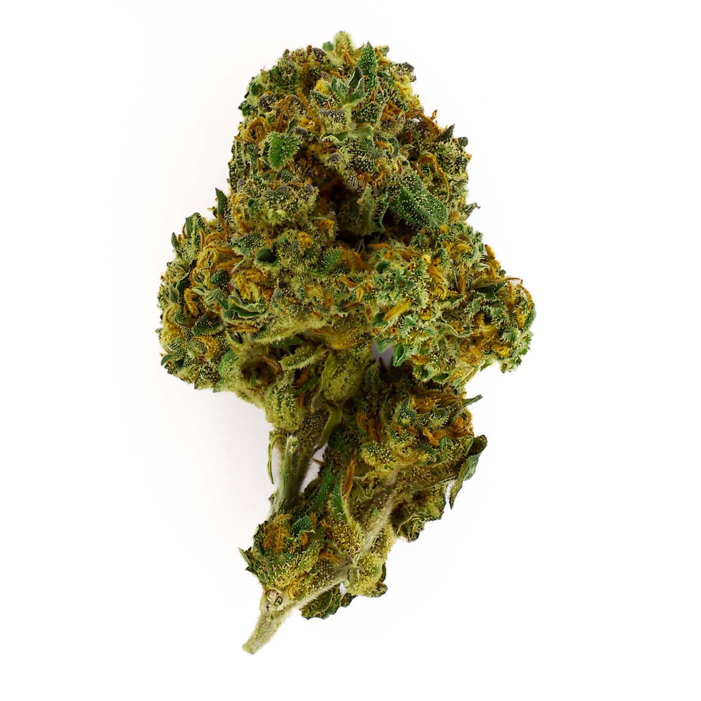 CBD-Blüte Tutti Frutti Indoor 16 % | Pflaume & Orange | 321CBD