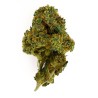 CBD-Blüte Tutti Frutti Indoor 16 % | Pflaume & Orange | 321CBD
