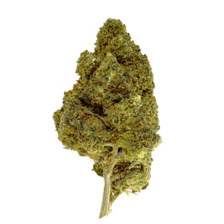 Fleur CBD White Berry Indoor 19 % | Baies & Pin | 321CBD