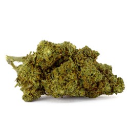 Fleur CBD White Berry Indoor 19 % | Baies & Pin | 321CBD
