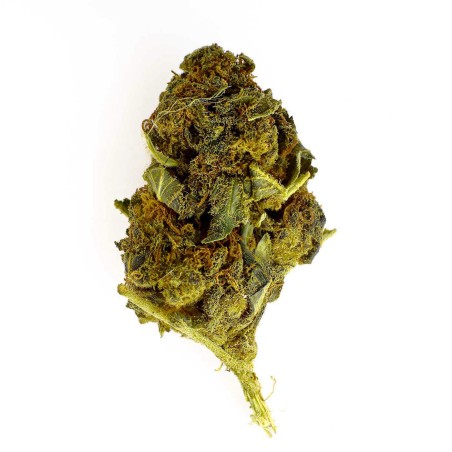 Royal Cheese CBD Flower Greenhouse 17.4% | Cheese & Earthy | 321CBD