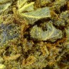 Royal Cheese CBD Flower Greenhouse 17.4% | Cheese & Earthy | 321CBD