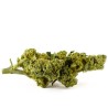 Orange Bud CBD Flower Indoor 25% | Orange & Mandarin | 321CBD