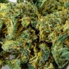 Orange Bud CBD Flower Indoor 25% | Orange & Mandarin | 321CBD
