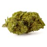 Fleur CBD Mimosa Indoor 23% Hybride | Citronnée & Florale | 321CBD