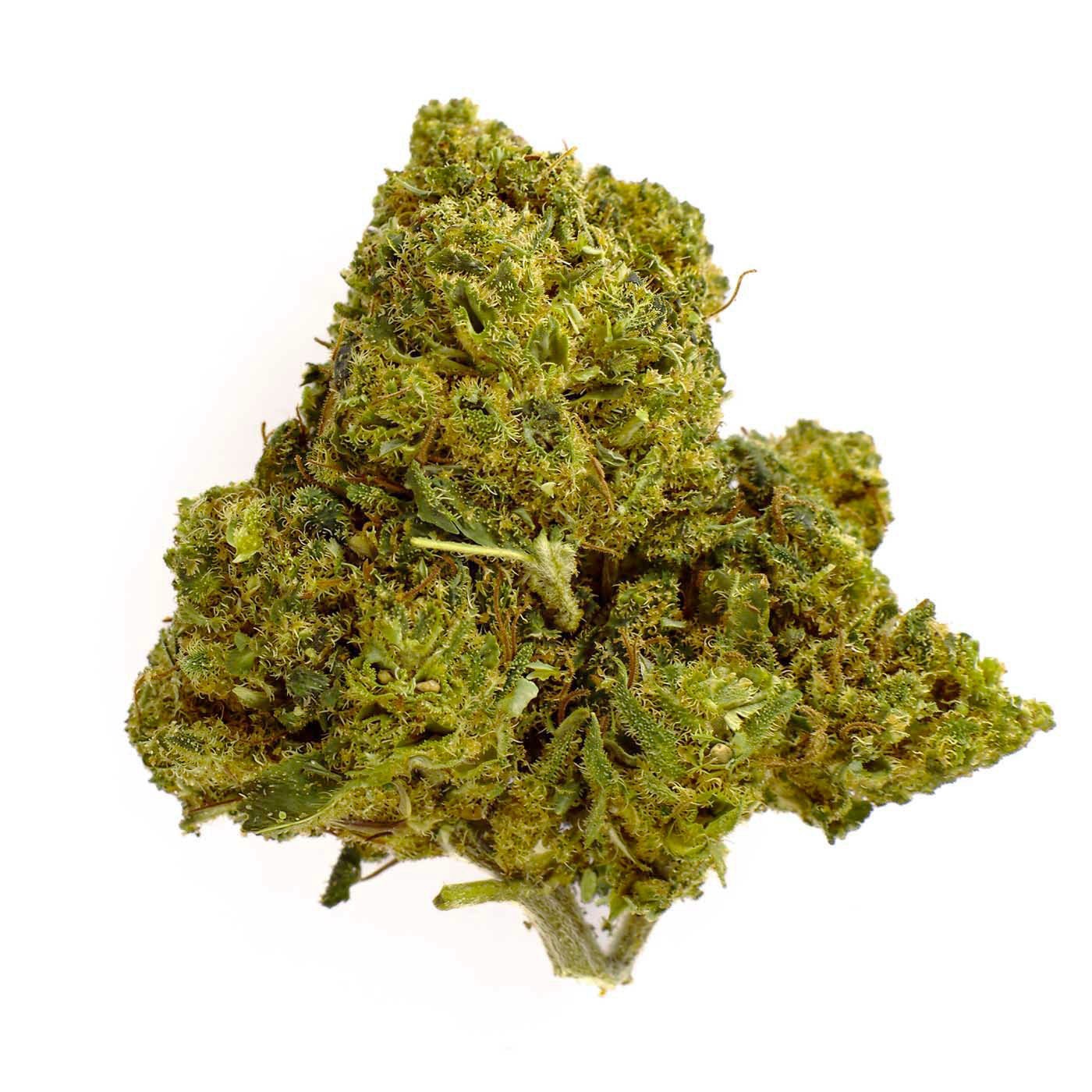 Fleur CBD Mimosa Indoor 23% Hybride | Citronnée & Florale | 321CBD