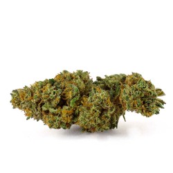 CBD-Blüte Caramel Candy Indoor 15 % | Karamell & Kaffee | 321CBD