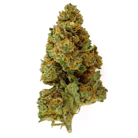CBD-Blüte Caramel Candy Indoor 15 % | Karamell & Kaffee | 321CBD
