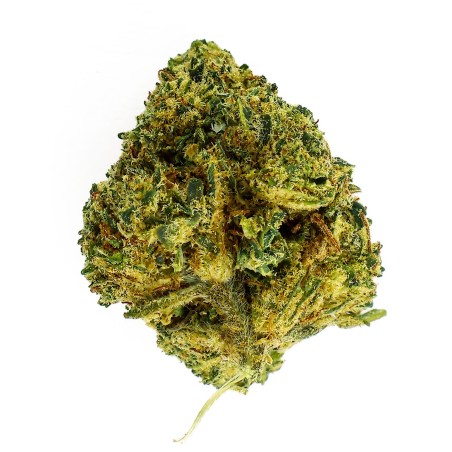 Fleur CBD Pop Corn Indoor 17 % | Sucré & Vanille | 321CBD