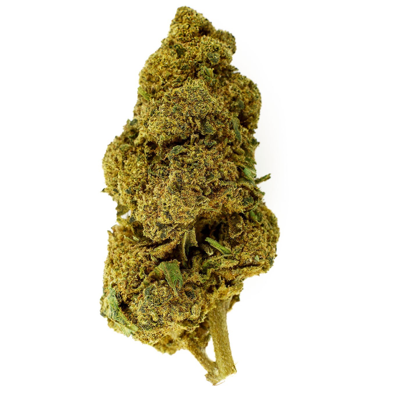 Ringo's Gift CBD Flower Indoor 24.7% | The Star | 321CBD