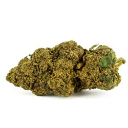 Ringo's Gift CBD Flower Indoor 24.7% | The Star | 321CBD