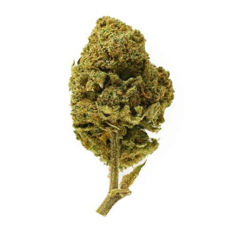 Fleur CBD Honey Cream Indoor 21 % | Miel & Crémeux | 321CBD