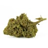 Fleur CBD Honey Cream Indoor 21 % | Miel & Crémeux | 321CBD