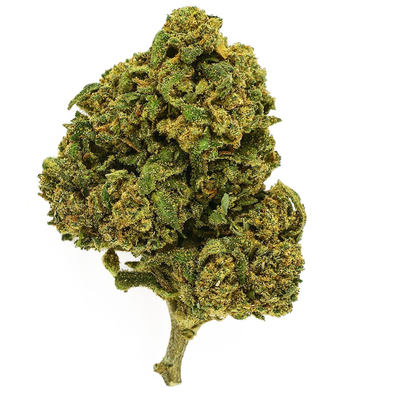 CBD-Blüte Nina Limone Outdoor 9,3 % | Zitrone & Skunk | 321CBD