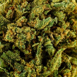 Fleur CBD Nina Limone Outdoor 9,3 % | Citron & Skunk | 321CBD