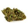 Fleur CBD Blue Gelato Indoor 20 % | Myrtille & Agrumes | 321CBD