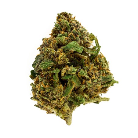Fleur CBD Blue Gelato Indoor 20 % | Myrtille & Agrumes | 321CBD